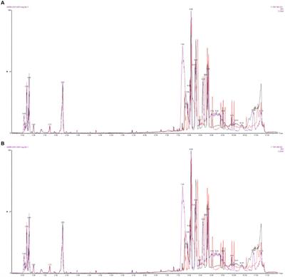 Metabolomic analysis of swainsonine poisoning in renal tubular epithelial cells